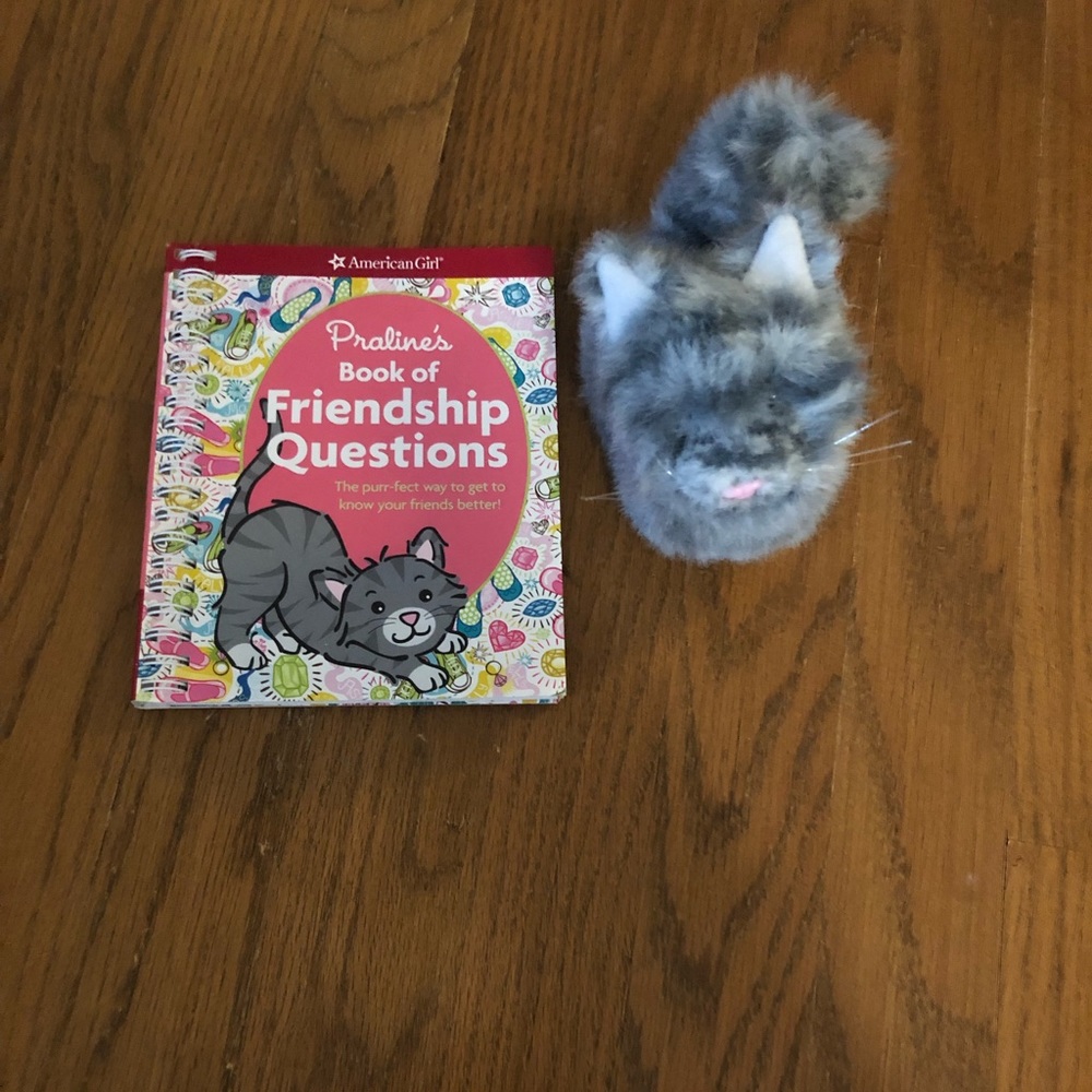 American girl doll cat w/ book